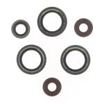 SERIE PARAOLIO SHERCO SE-R 125 18-21