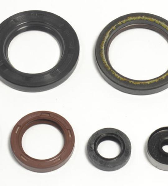 SERIE PARAOLIO KTM 250/300 MX/SX/GS'90-03