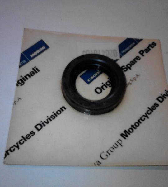 Paraolio originale Ducati, Cagiva