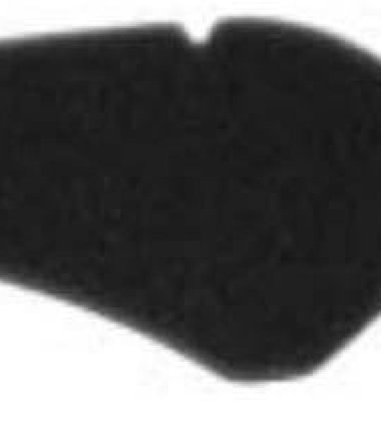 Filtro aria per Suzuki 125/150 Burgam (02/06)