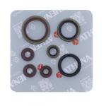 SERIE PARAOLIO SHERCO SE-R 250/300 14-20