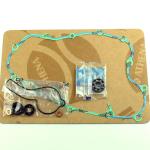 POMPA ACQUA KIT SERIE GUARNIZIONI + CUSCINETTO HONDA CRF150R 07-21