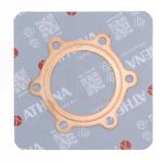GUARNIZIONE TESTA CILINDRO KAWASAKI KDX 250
