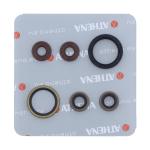 SERIE PARAOLIO SHERCO SEF-R 450 15-21