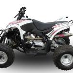 Scarico GPR compatibile con Access Baja 450  2005-2021 -  Deeptone Atv -  Scarico omologato -  silenziatore con db killer estraibile e raccordo specifico