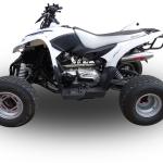 Scarico GPR compatibile con Access SP250-SP300 Speed 2005-2021 -  Deeptone Atv -  Scarico completo omologato - fornito con db killer estraibile e collettore