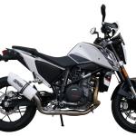 Scarico GPR compatibile con Ktm Duke 690 2012-2016 - Albus Evo4
