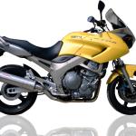 Scarico GPR compatibile con Yamaha Tdm 900 2002-2014 - Trioval
