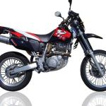 Scarico GPR compatibile con Yamaha Tt 600 R - Tt 600 E 1998-2004 - Trioval