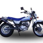 Scarico GPR compatibile con Suzuki Rv 125 Van Van 2003-2017 - Furore Nero