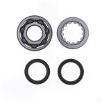 REVISIONE ALBERO MOTORE KIT HONDA CRF 450 R 17-18