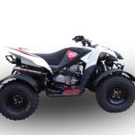 Scarico GPR compatibile con Beeline Bestia 5.5 Supermoto - Offroad 2011-2021 - Deeptone Atv