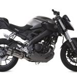 Scarico GPR compatibile con Yamaha Mt 125 2014-2016 -  Gpe Ann. titanium -  Scarico completo omologato - fornito con db killer estraibile - catalizzatore e collettore