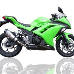 Scarico GPR compatibile con Kawasaki Ninja 300 R 2012-2017 - Gpe Ann. titanium