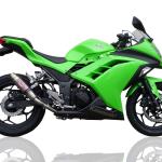 Scarico GPR compatibile con Kawasaki Ninja 300 R 2012-2017 - Deeptone Inox