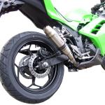 Scarico GPR compatibile con Kawasaki Ninja 300 R 2012-2017 - Deeptone Inox
