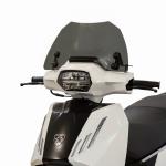 Cupolino Fumé Scuro Per Peugeot Tweet Fl 200 2023