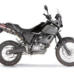 Scarico GPR compatibile con Yamaha Xt 660 Z Teneré 2008-2016 - Gpe Ann. titanium