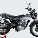 Scarico GPR compatibile con Suzuki Rv 125 Van Van 2003-2017 - Albus Ceramic