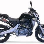 Scarico GPR compatibile con Yamaha MT03 660 2006-2013 -  Gpe Ann. titanium -  Coppia di terminali di scarico omologati -  forniti con db killer removibili e raccordi specifici
