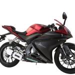 Scarico GPR compatibile con Yamaha Yzf-R 125 2017-2018 - Albus Evo4